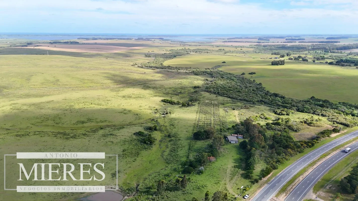 Campo de 31 ha en José Ignacio, Maldonado Uruguay. — foto 5