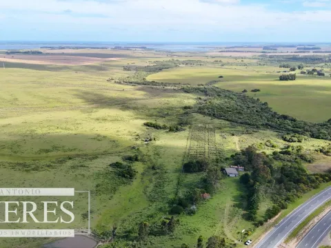 Campo de 31 ha en José Ignacio, Maldonado Uruguay. — foto 5