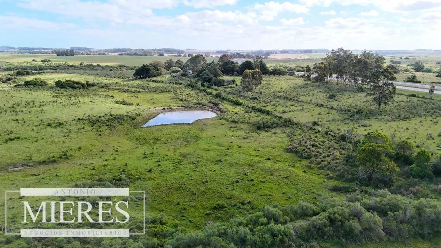 Campo de 31 ha en José Ignacio, Maldonado Uruguay. — foto 8
