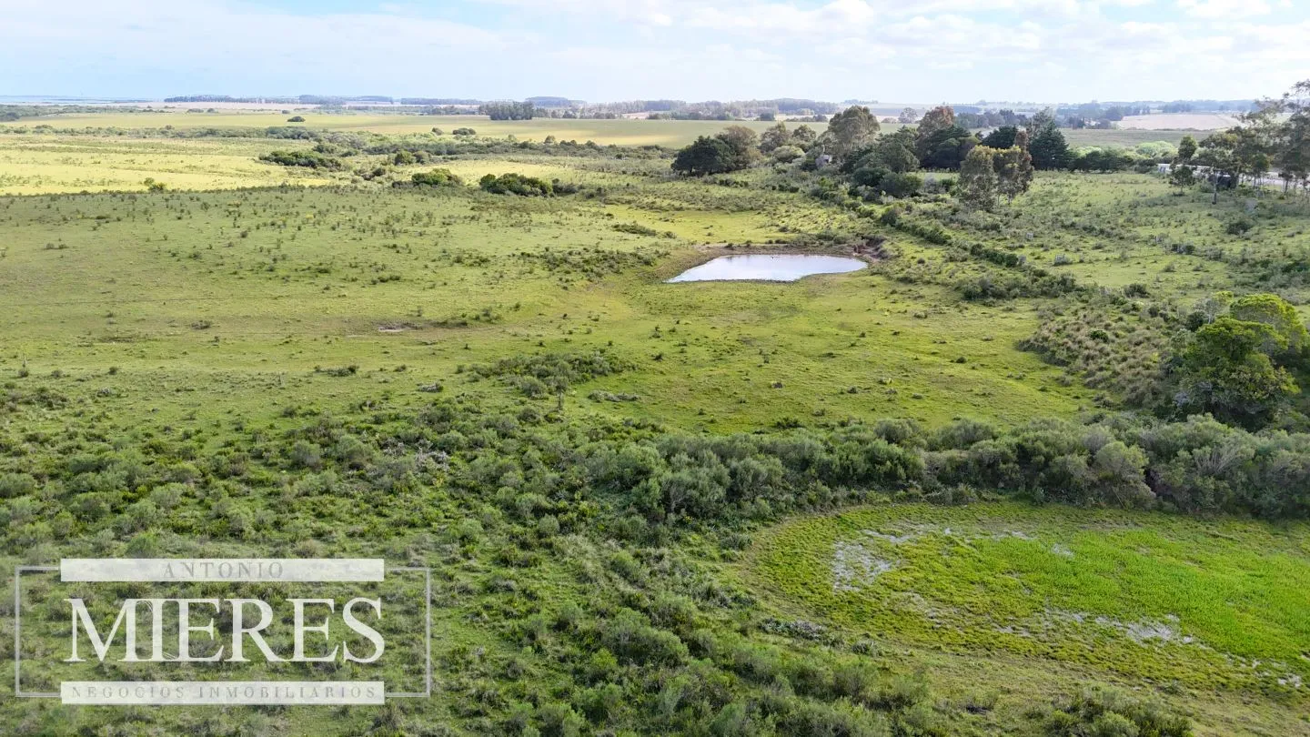 Campo de 31 ha en José Ignacio, Maldonado Uruguay. — foto 9