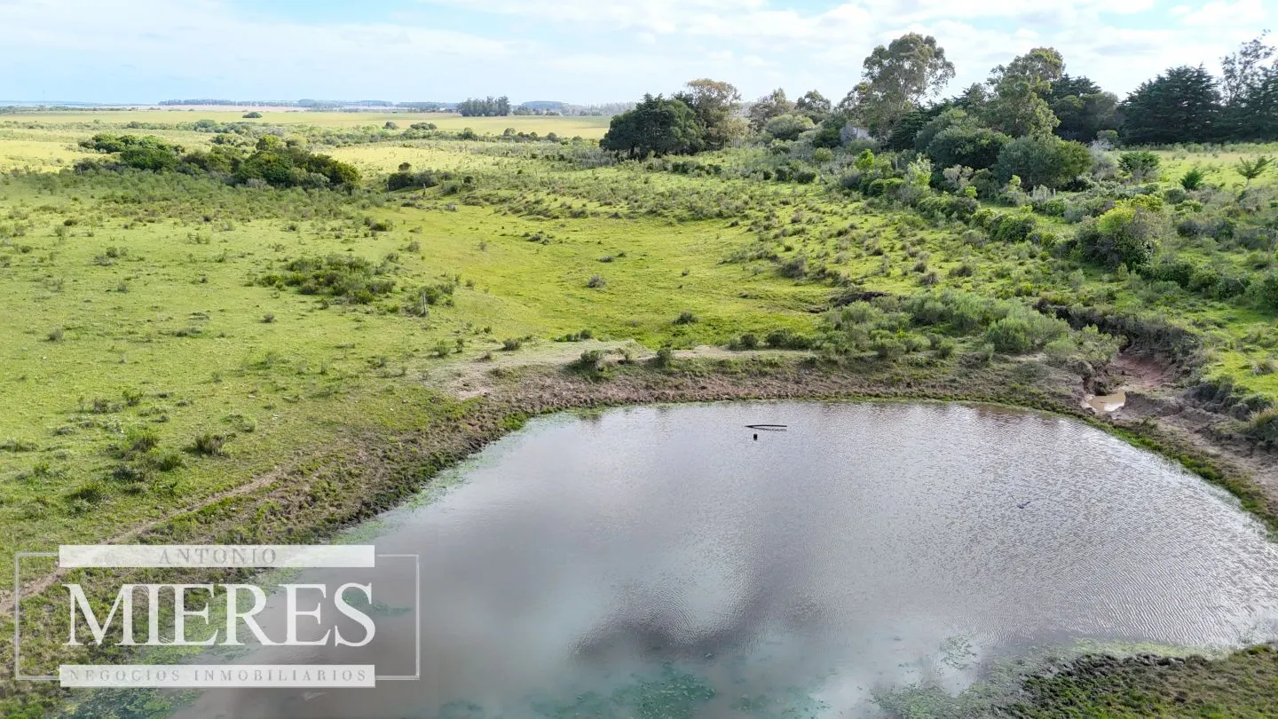Campo de 31 ha en José Ignacio, Maldonado Uruguay. — foto 10