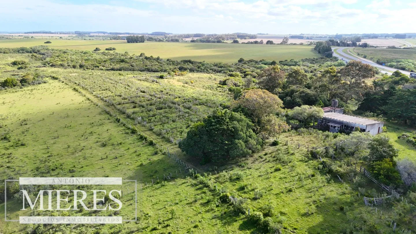 Campo de 31 ha en José Ignacio, Maldonado Uruguay. — foto 11