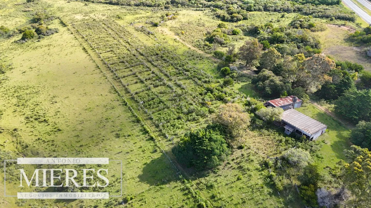 Campo de 31 ha en José Ignacio, Maldonado Uruguay. — foto 12