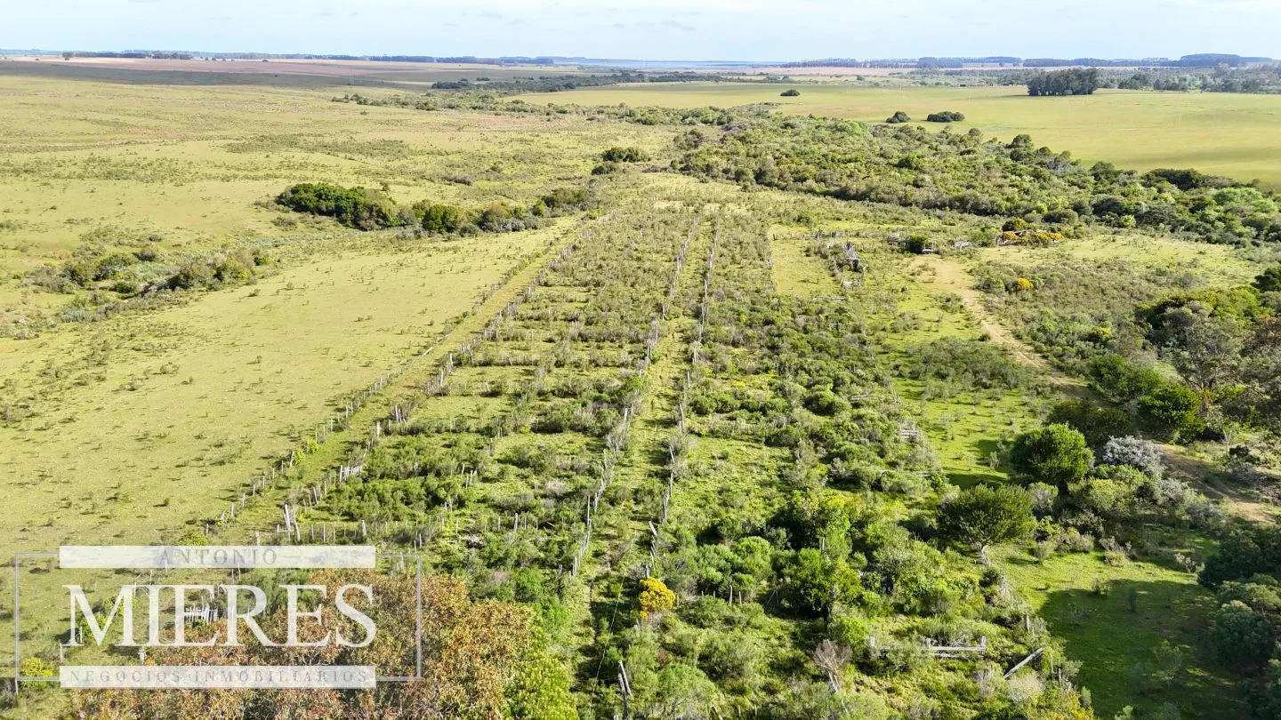 Campo de 31 ha en José Ignacio, Maldonado Uruguay. — foto 13