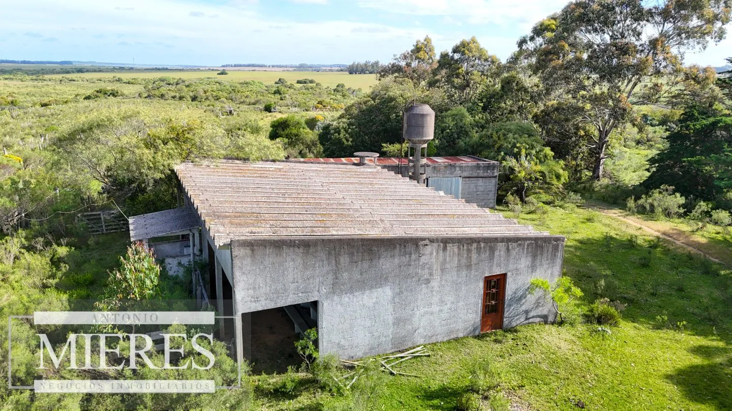 Campo de 31 ha en José Ignacio, Maldonado Uruguay. — foto 14
