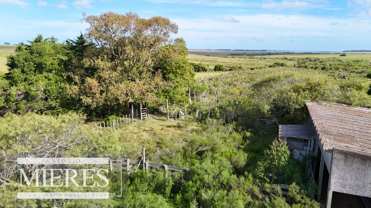 Campo de 31 ha en José Ignacio, Maldonado Uruguay. — foto 15