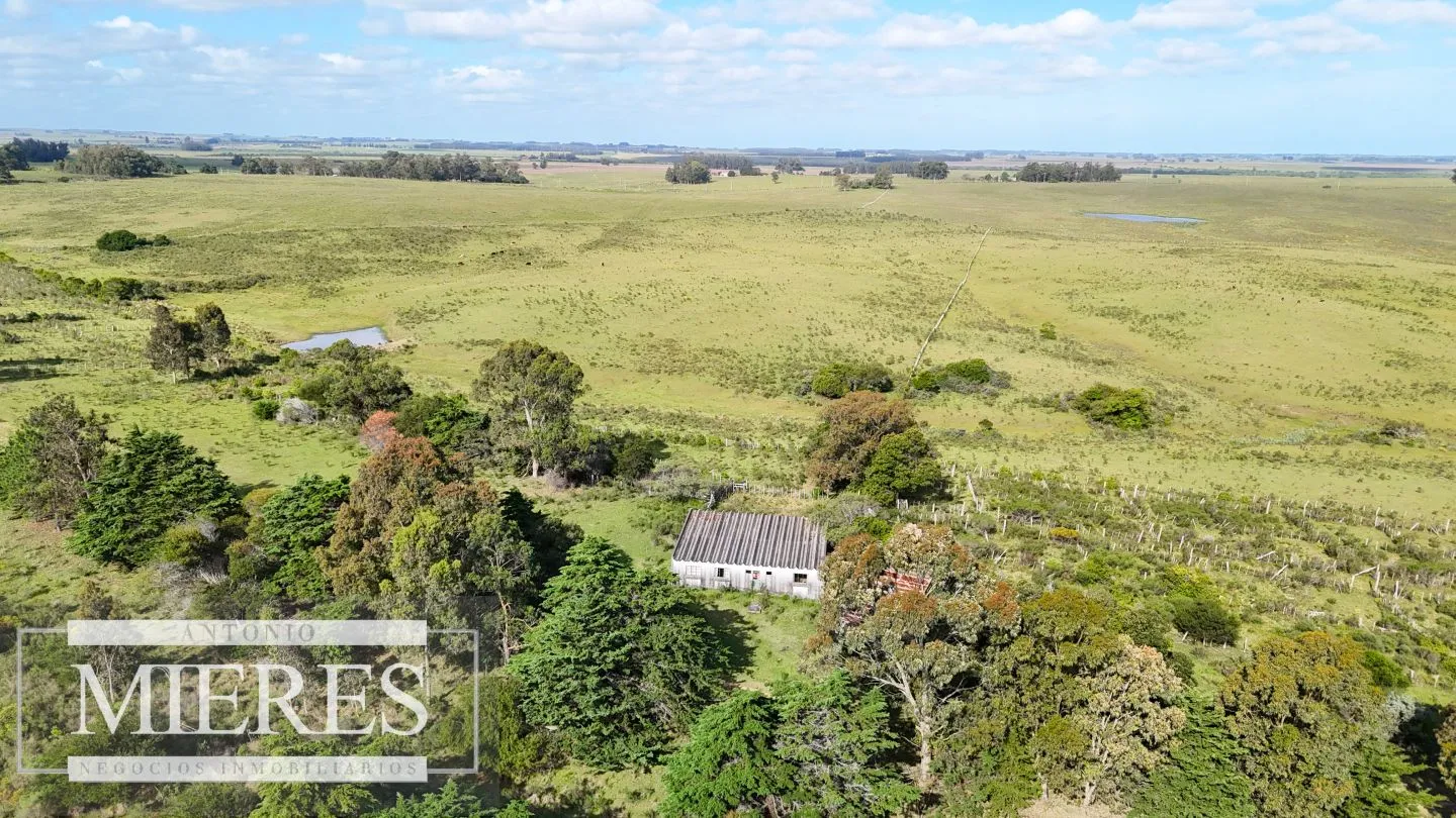 Campo de 31 ha en José Ignacio, Maldonado Uruguay. — foto 17