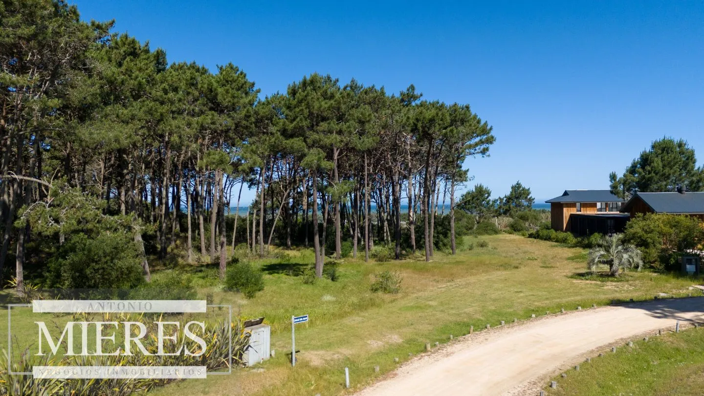 Venta lote 1000m en Pinar del Faro c/vista al mar! — foto 3