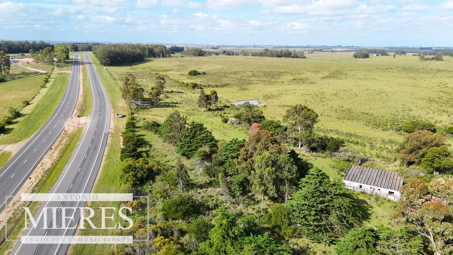 Campo de 31 ha en José Ignacio, Maldonado Uruguay. — foto 18