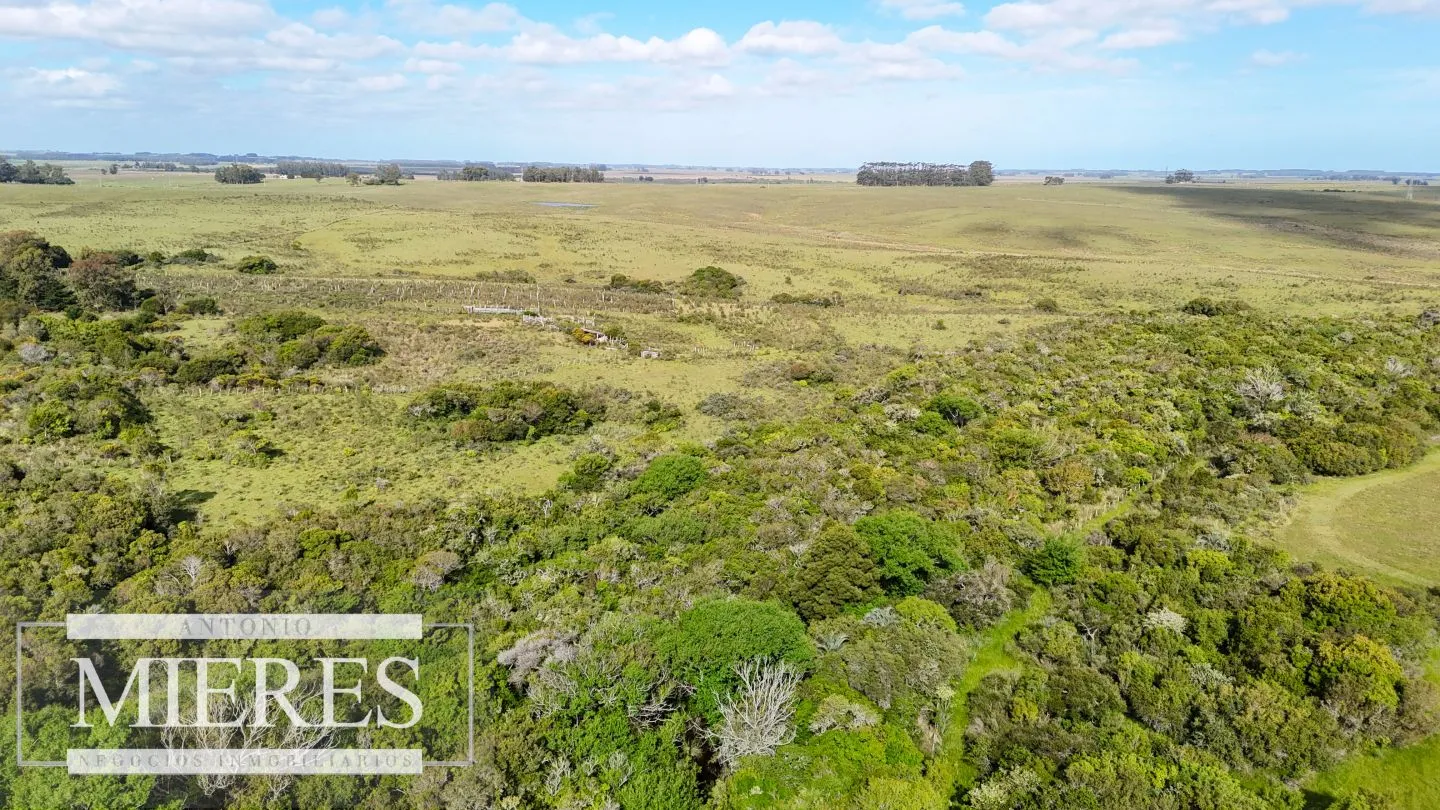 Campo de 31 ha en José Ignacio, Maldonado Uruguay. — foto 19