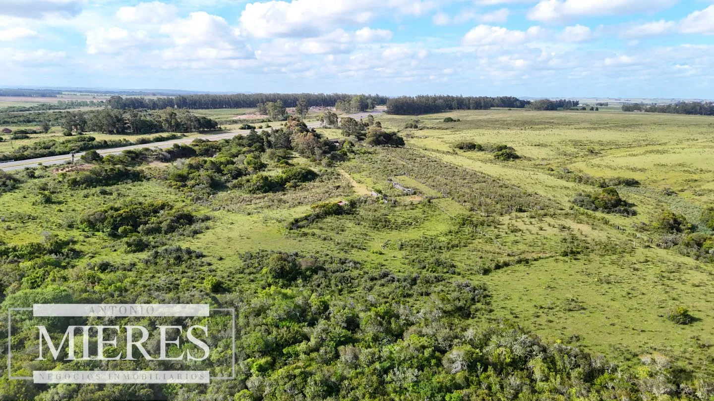Campo de 31 ha en José Ignacio, Maldonado Uruguay. — foto 20