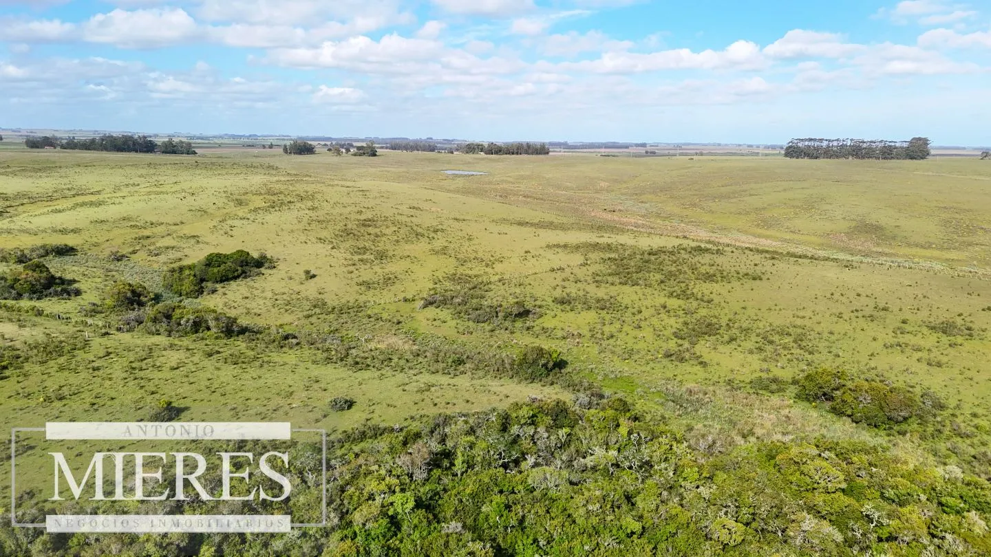 Campo de 31 ha en José Ignacio, Maldonado Uruguay. — foto 21