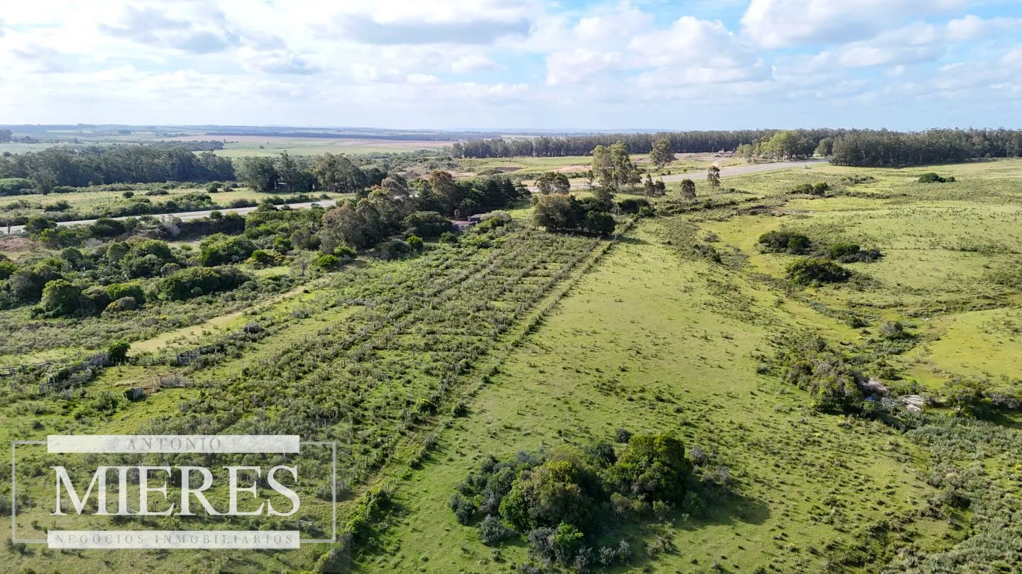 Campo de 31 ha en José Ignacio, Maldonado Uruguay. — foto 22