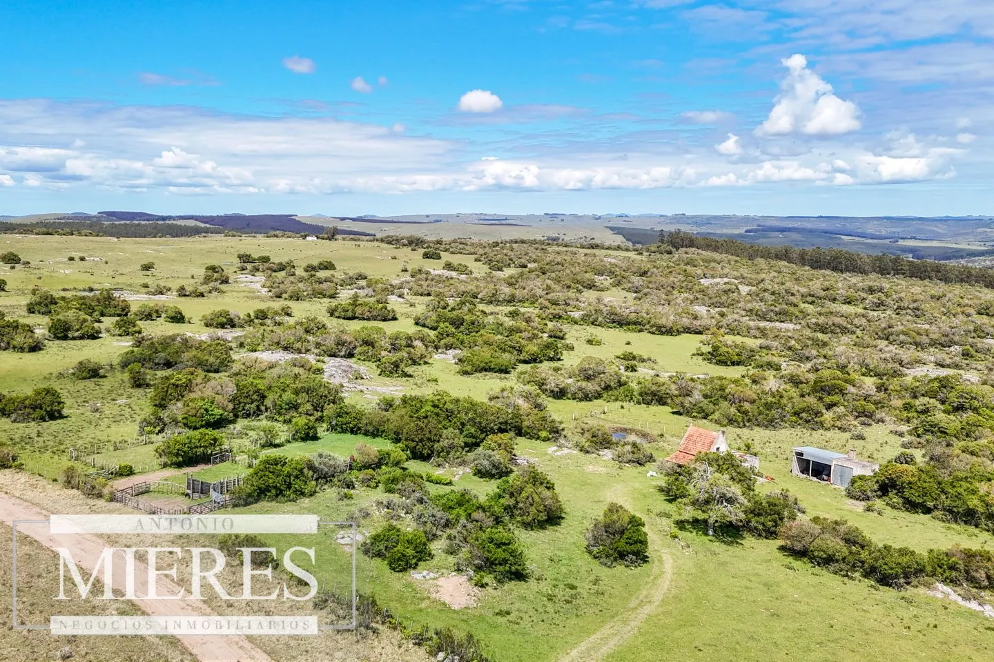 Campo en venta de 153 ha en Villa Serrana — foto 1