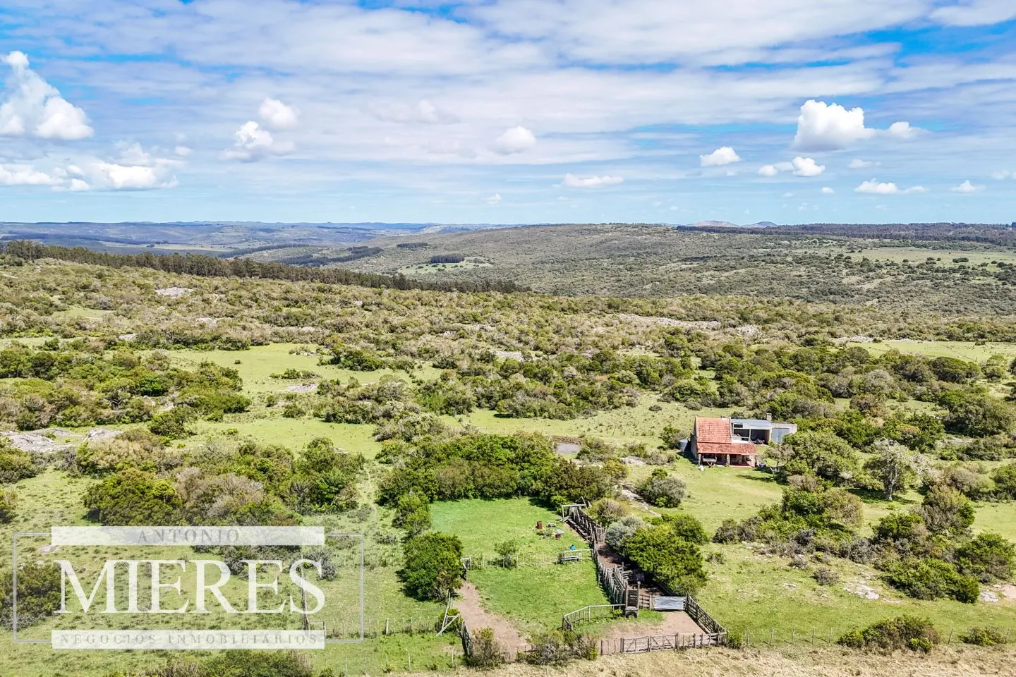 Campo en venta de 153 ha en Villa Serrana — foto 2