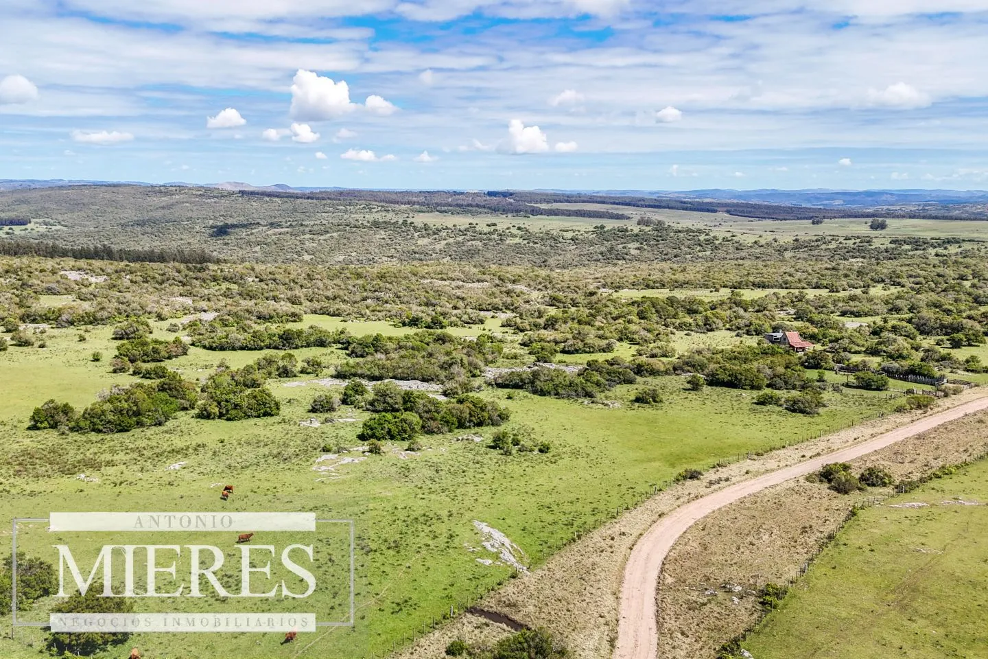 Campo en venta de 153 ha en Villa Serrana — foto 4