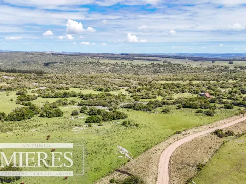 Campo en venta de 153 ha en Villa Serrana — foto 4