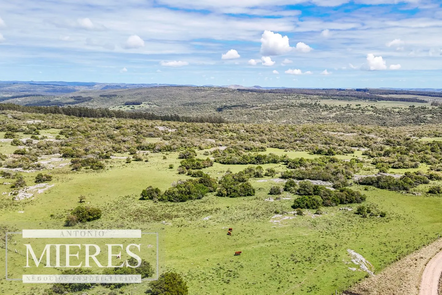 Campo en venta de 153 ha en Villa Serrana — foto 5