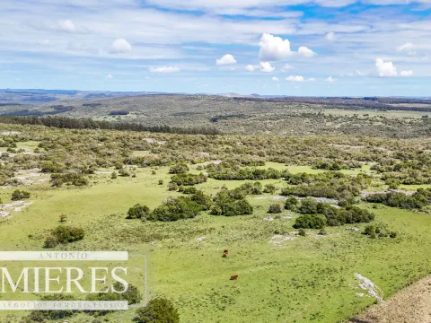 Campo en venta de 153 ha en Villa Serrana — foto 5