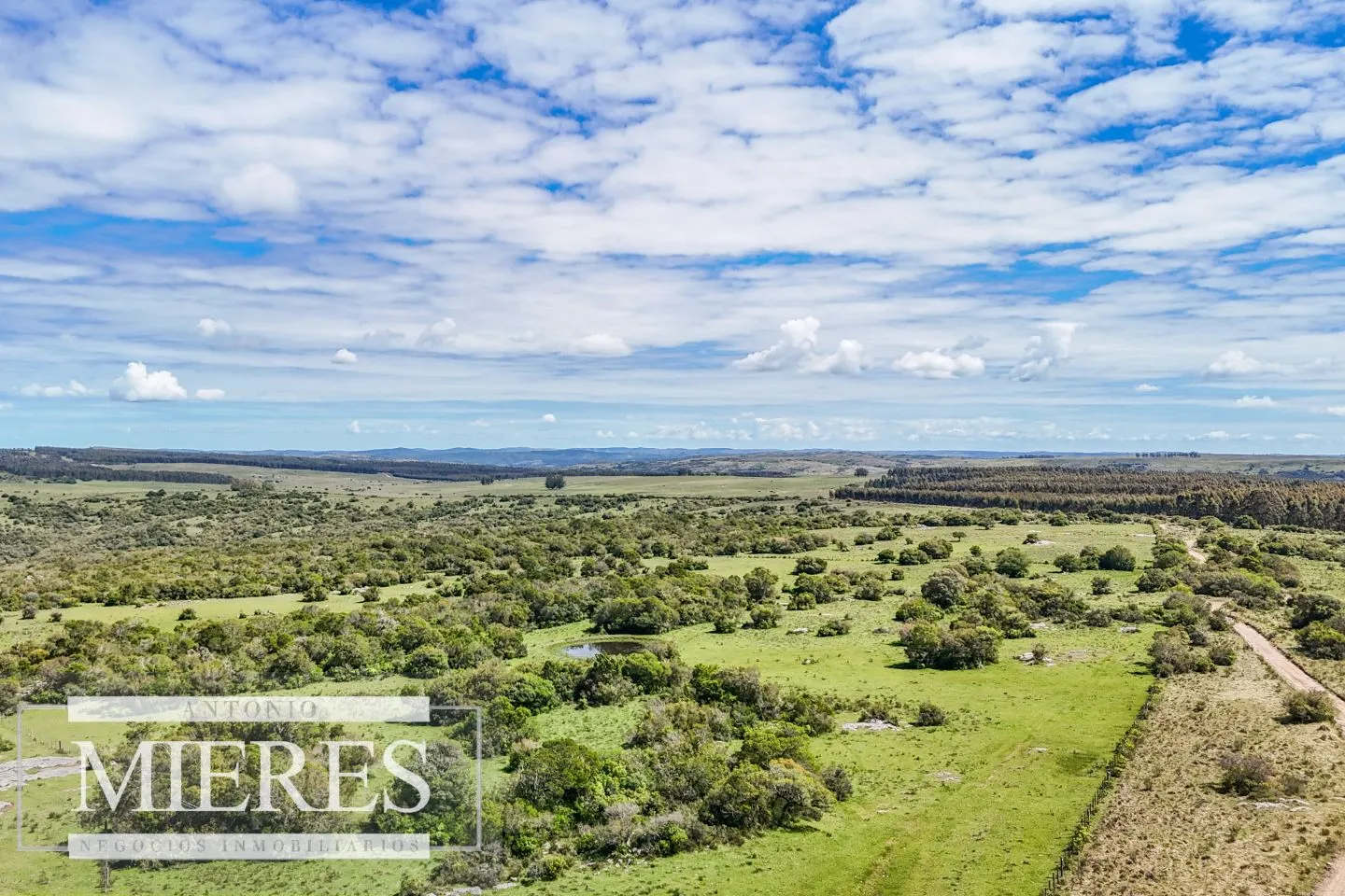 Campo en venta de 153 ha en Villa Serrana — foto 6