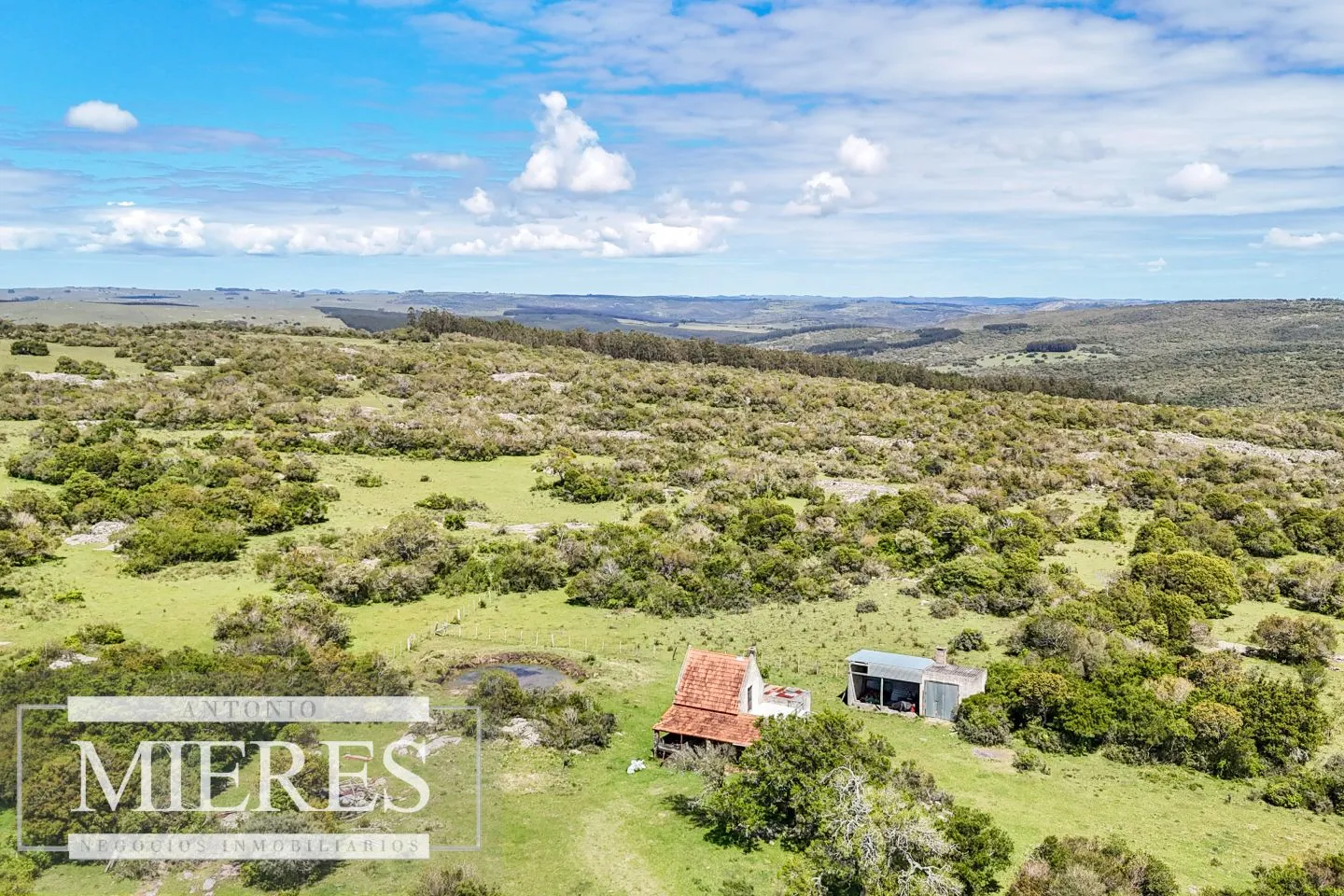 Campo en venta de 153 ha en Villa Serrana — foto 7