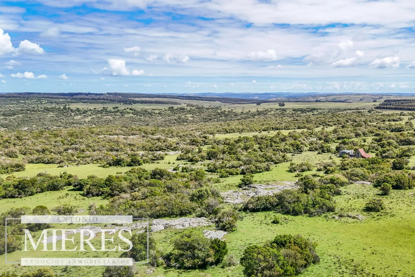Campo en venta de 153 ha en Villa Serrana — foto 8