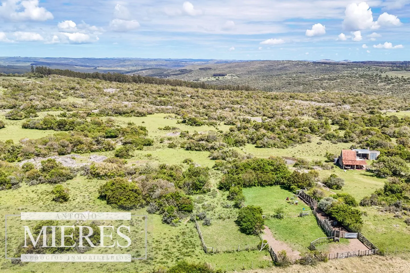 Campo en venta de 153 ha en Villa Serrana — foto 9