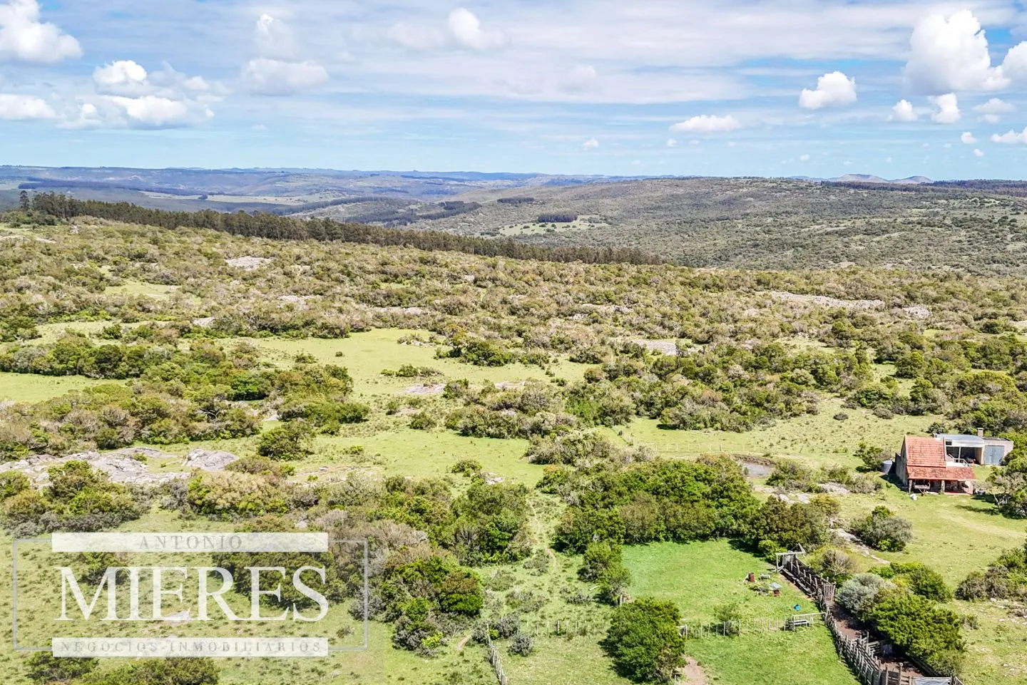 Campo en venta de 153 ha en Villa Serrana — foto 10