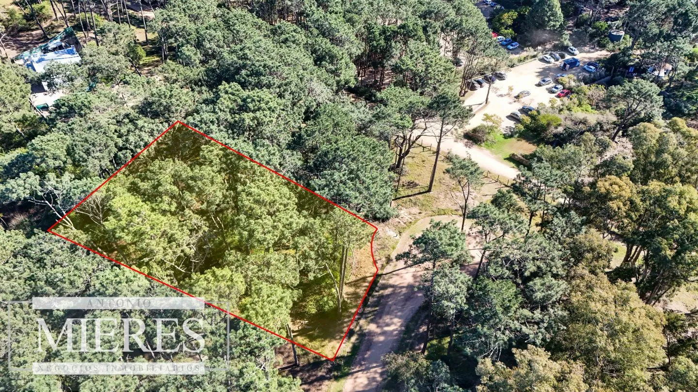 VENTA, TERRENO, 1026MTS, RESERVA MONTOYA — foto 2