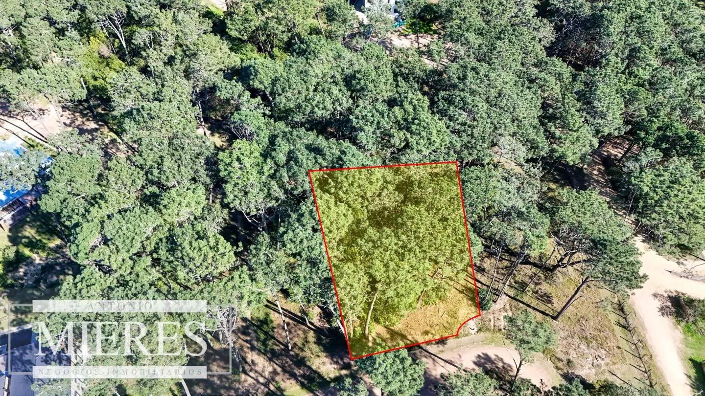 VENTA, TERRENO, 1026MTS, RESERVA MONTOYA — foto 3
