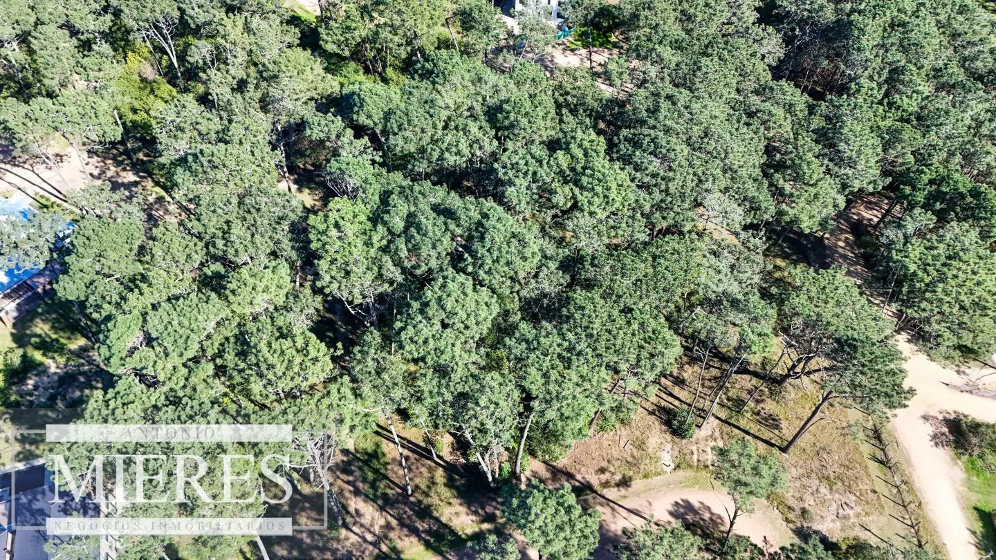 VENTA, TERRENO, 1026MTS, RESERVA MONTOYA — foto 4