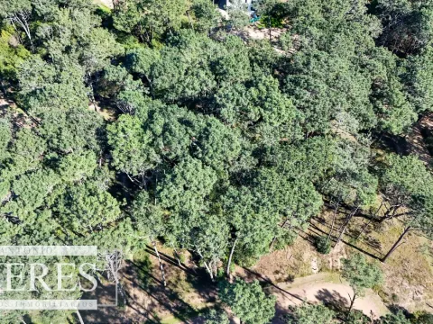 VENTA, TERRENO, 1026MTS, RESERVA MONTOYA — foto 4