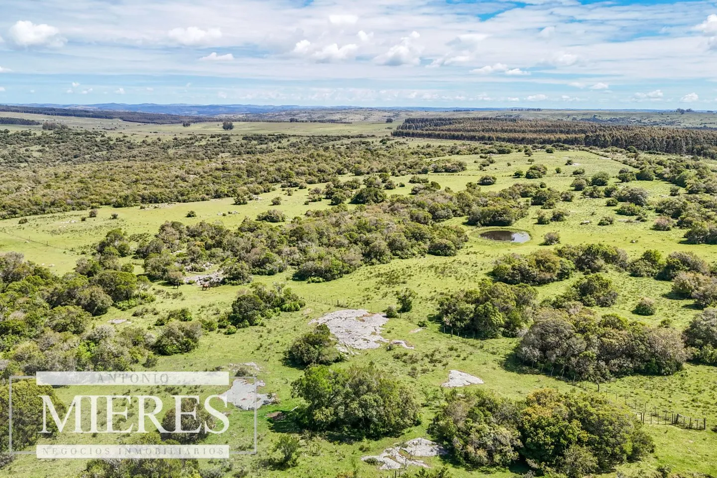 Campo en venta de 153 ha en Villa Serrana — foto 13