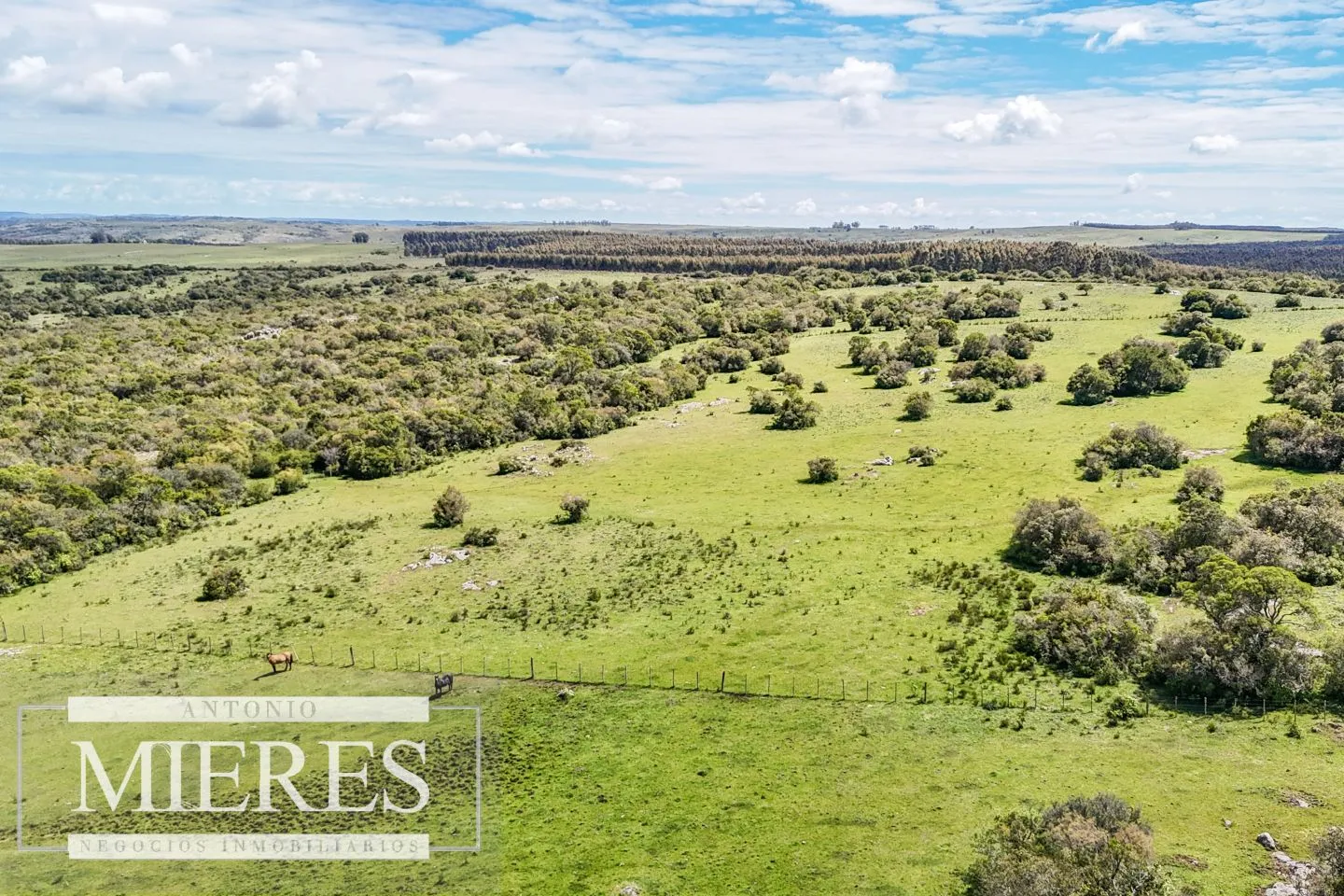 Campo en venta de 153 ha en Villa Serrana — foto 14