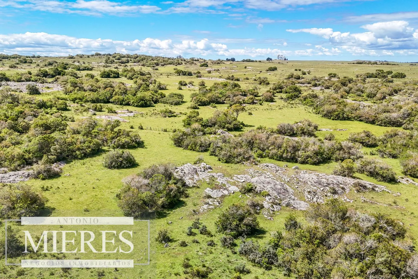Campo en venta de 153 ha en Villa Serrana — foto 16