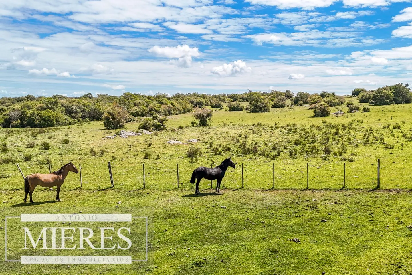 Campo en venta de 153 ha en Villa Serrana — foto 17