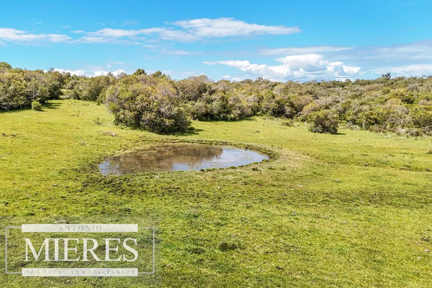 Campo en venta de 153 ha en Villa Serrana — foto 18