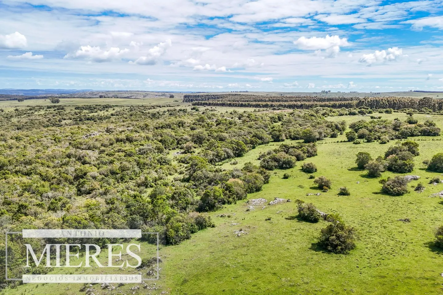 Campo en venta de 153 ha en Villa Serrana — foto 19