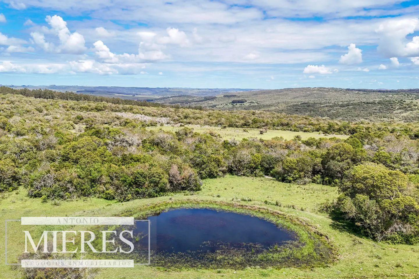 Campo en venta de 153 ha en Villa Serrana — foto 20
