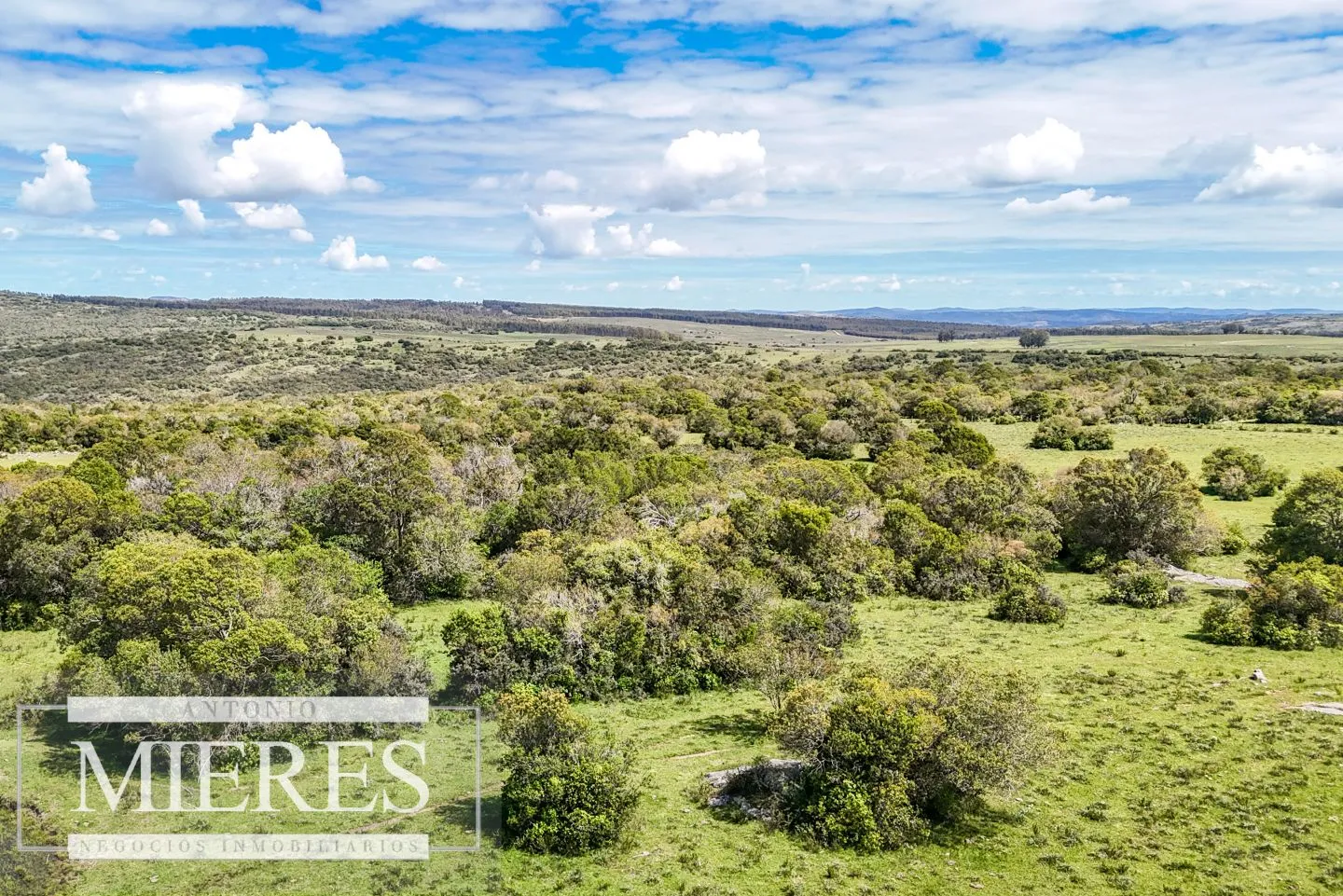 Campo en venta de 153 ha en Villa Serrana — foto 21