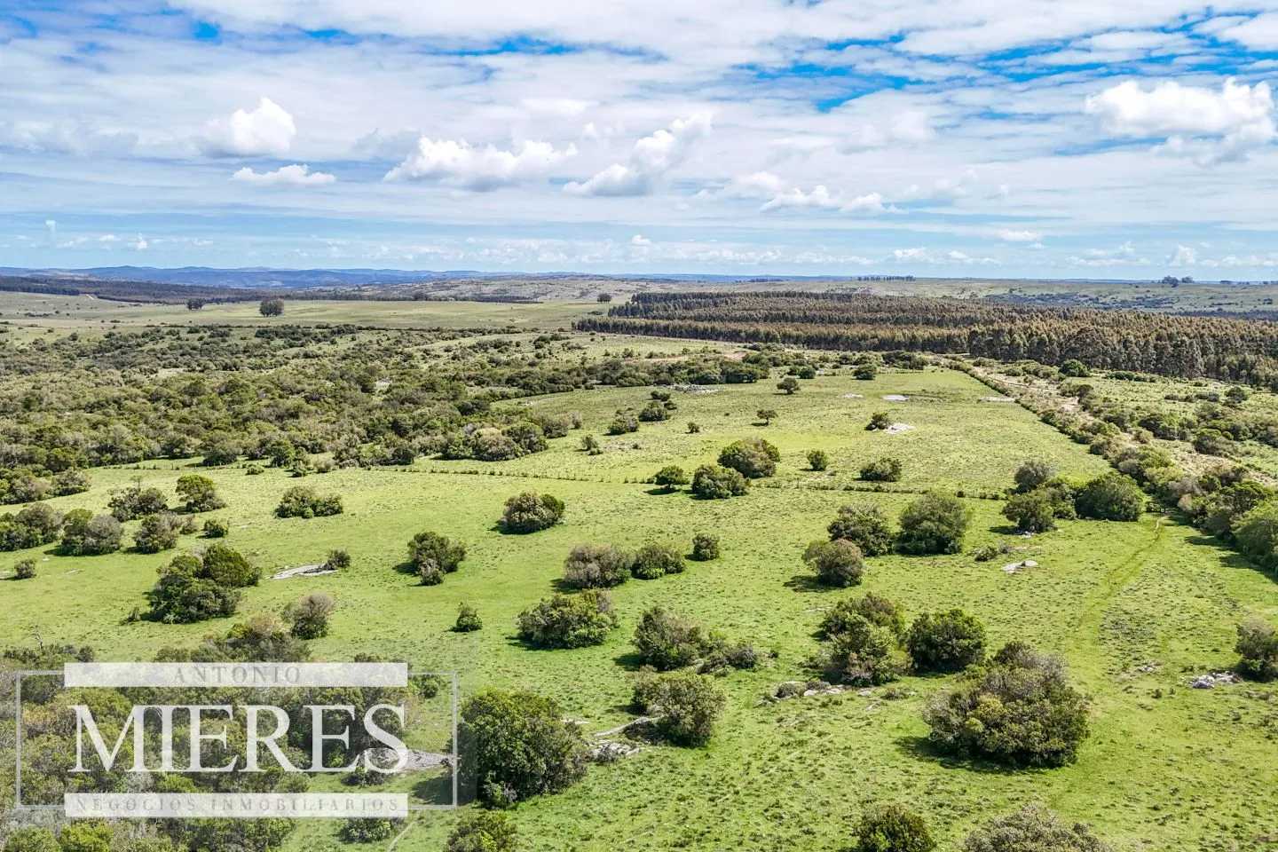 Campo en venta de 153 ha en Villa Serrana — foto 22