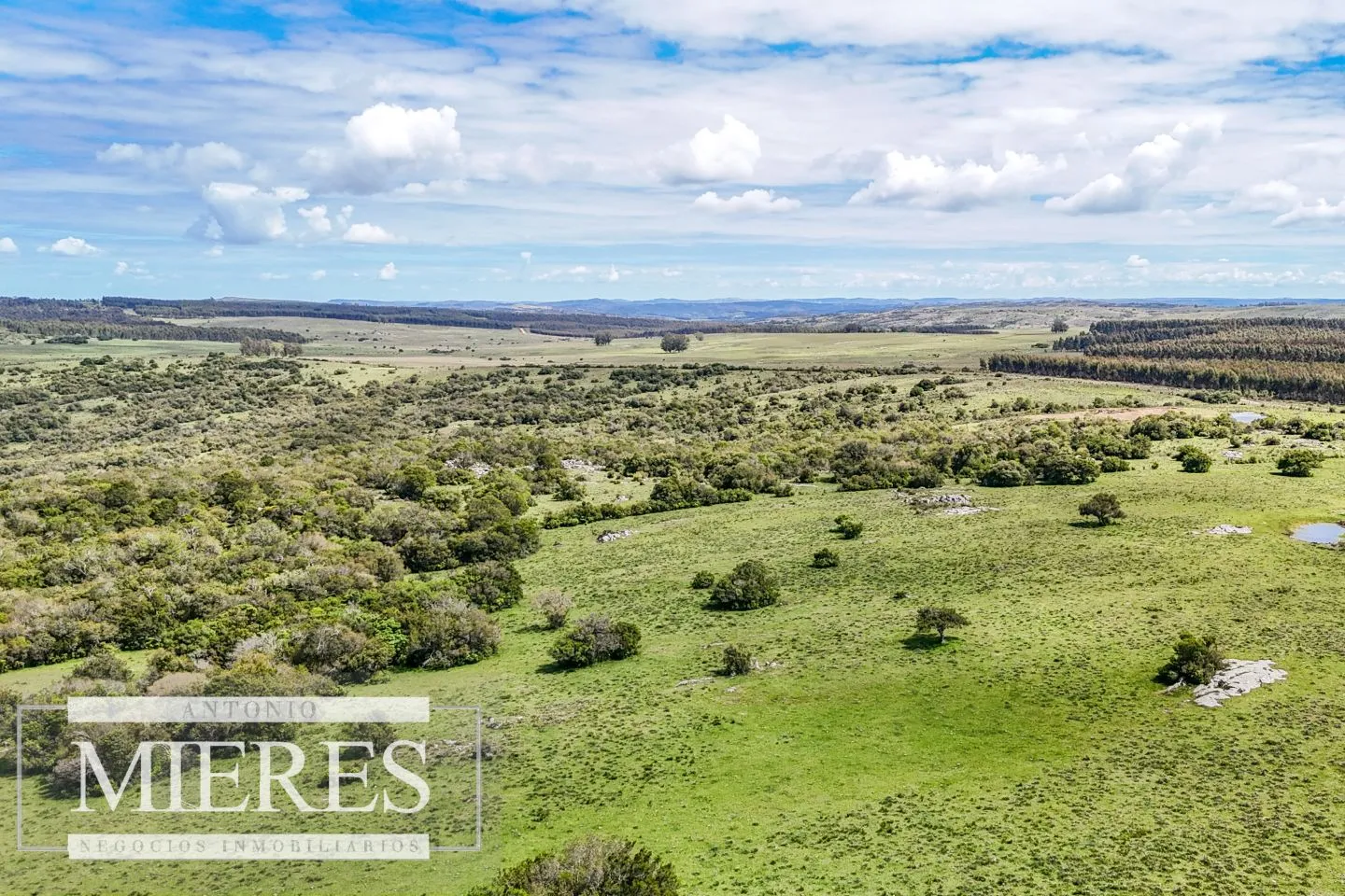 Campo en venta de 153 ha en Villa Serrana — foto 23