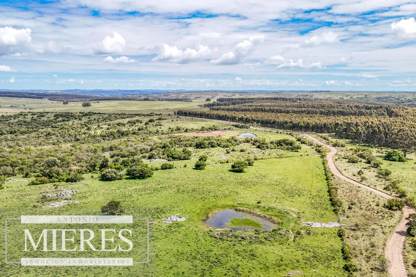 Campo en venta de 153 ha en Villa Serrana — foto 24