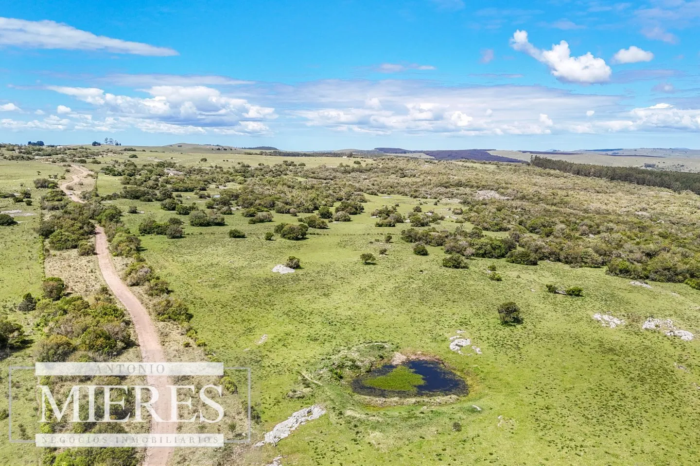 Campo en venta de 153 ha en Villa Serrana — foto 25