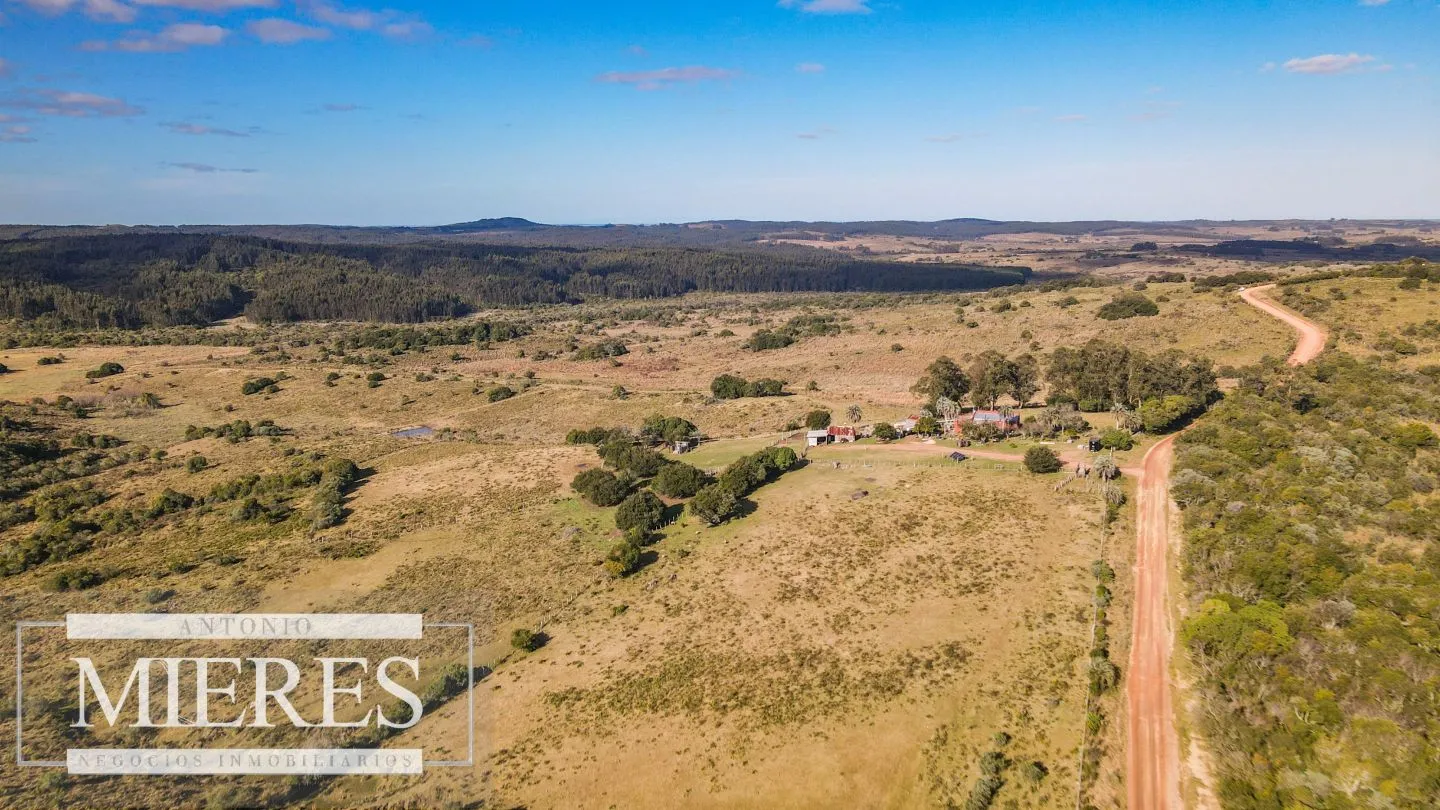 Campo de 270ha en Garzon Maldonado — foto 3