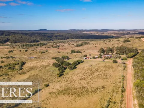 Campo de 270ha en Garzon Maldonado — foto 3