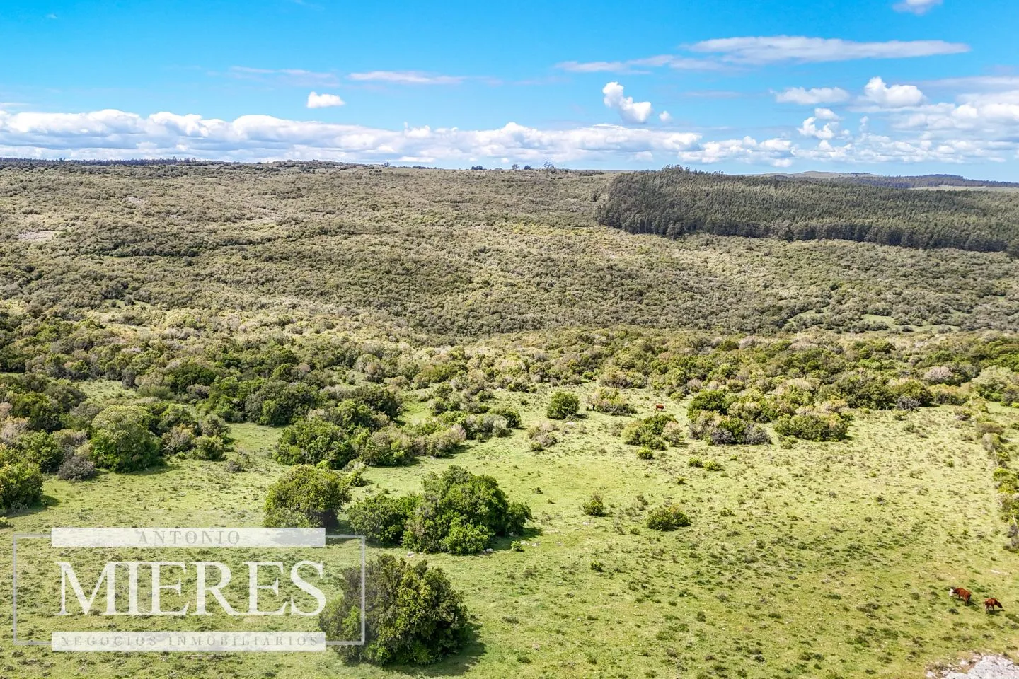 Campo en venta de 153 ha en Villa Serrana — foto 28