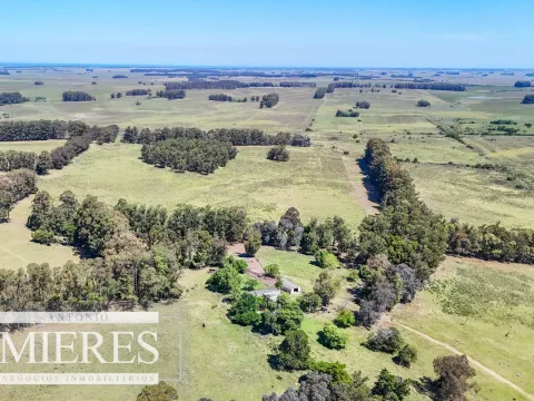 Campo en venta de 360 ha Las Garzas, Maldonado.
