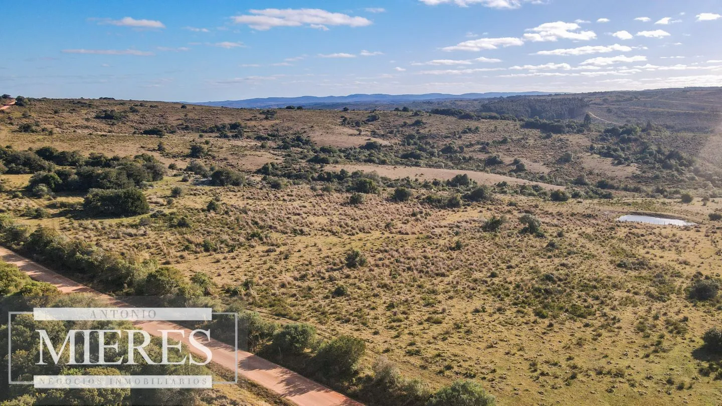 Campo de 270ha en Garzon Maldonado — foto 4