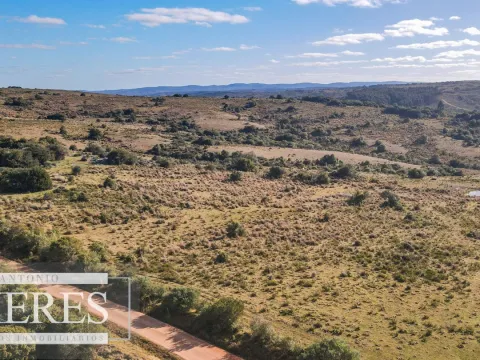 Campo de 270ha en Garzon Maldonado — foto 4